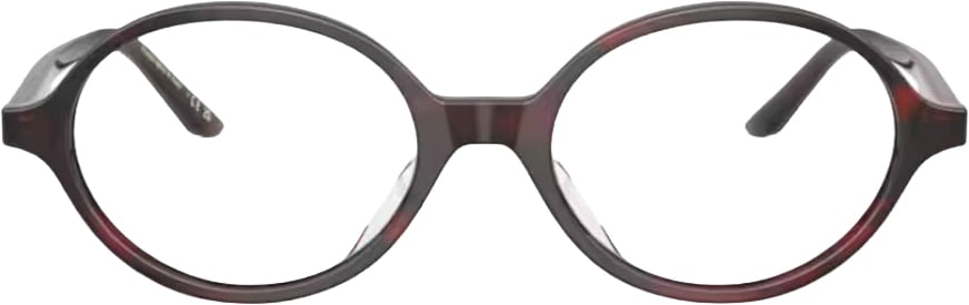 Oliver Peoples Bordeaux OV5574U - 2000rx Collection Khaite Acetate Oval Sunglasses Wit