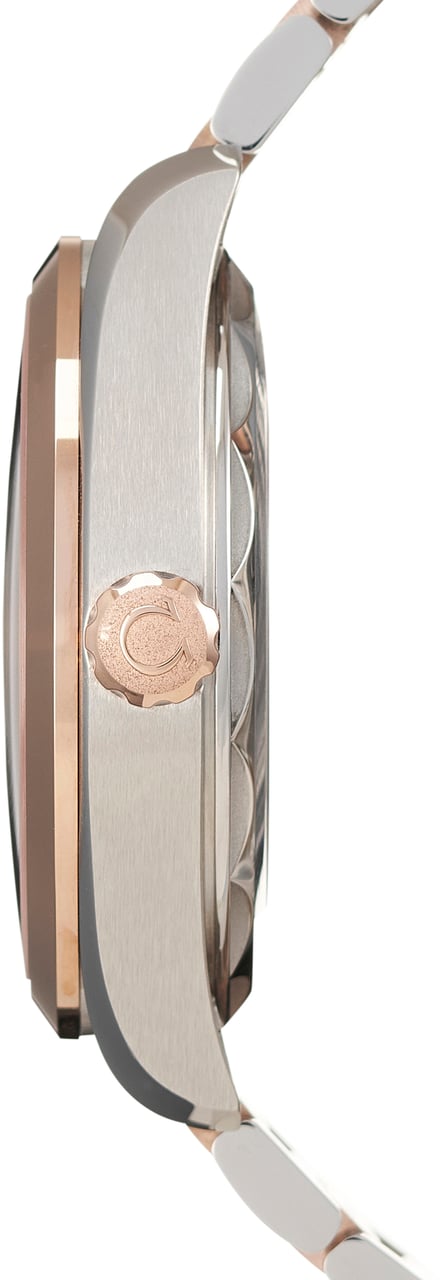 Omega Seamaster Grijs