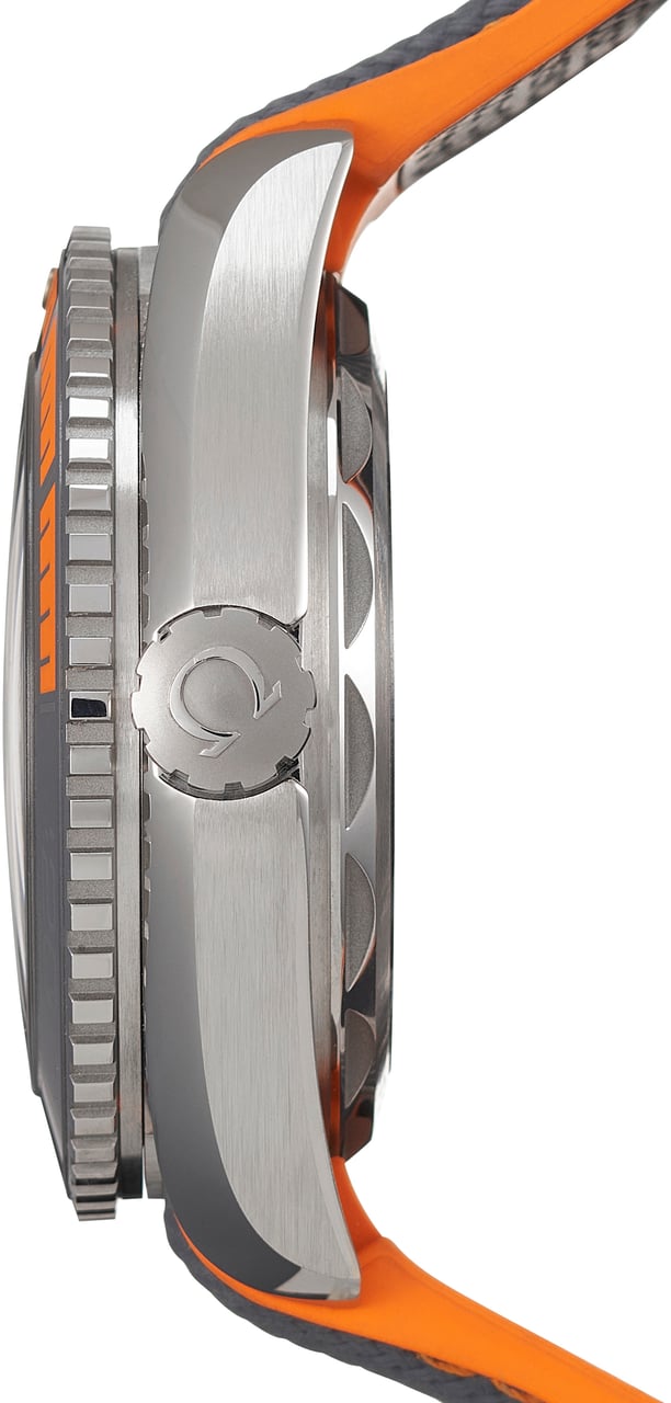 Omega Seamaster Grijs