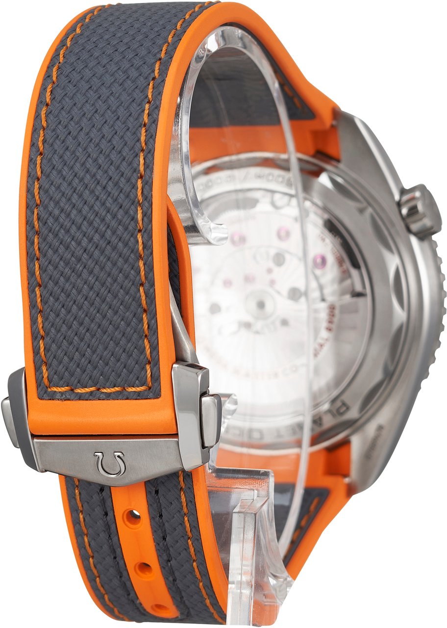 Omega Seamaster Grijs
