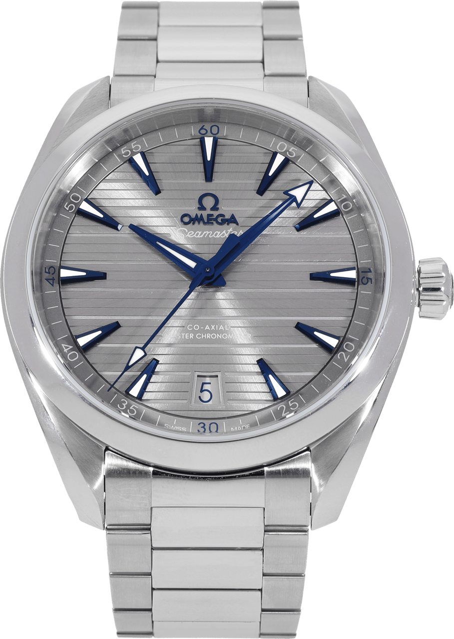 Omega Seamaster Grijs