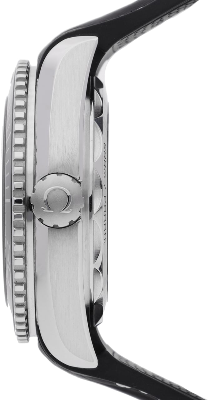 Omega Seamaster Zwart