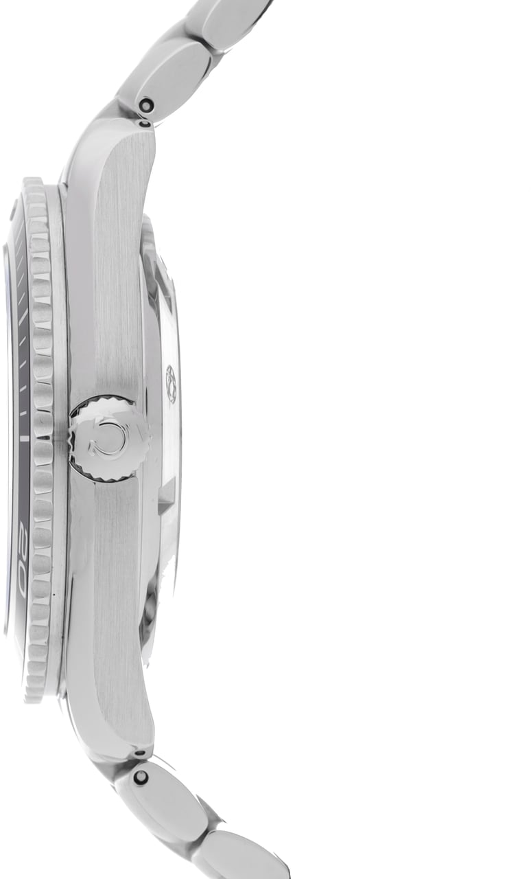 Omega Seamaster Zwart