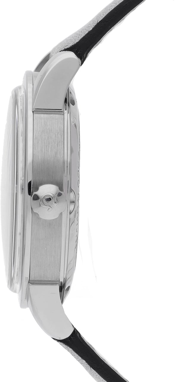 Omega Seamaster Zilver