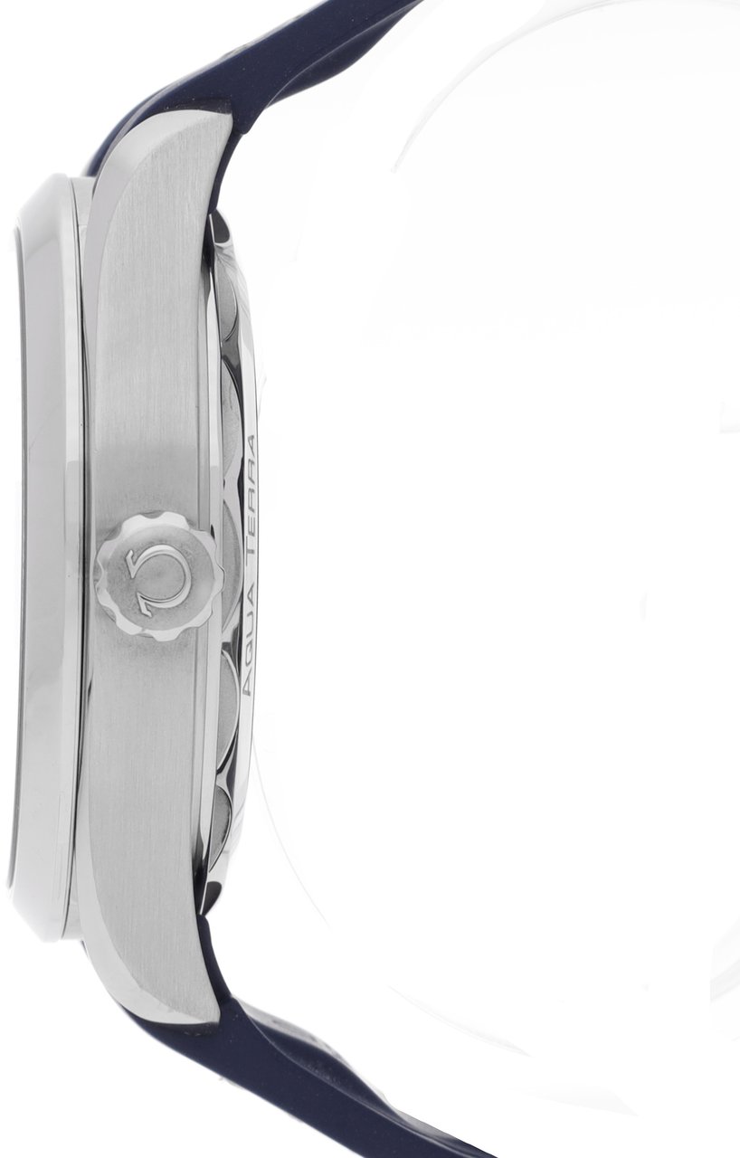 Omega Seamaster Grijs