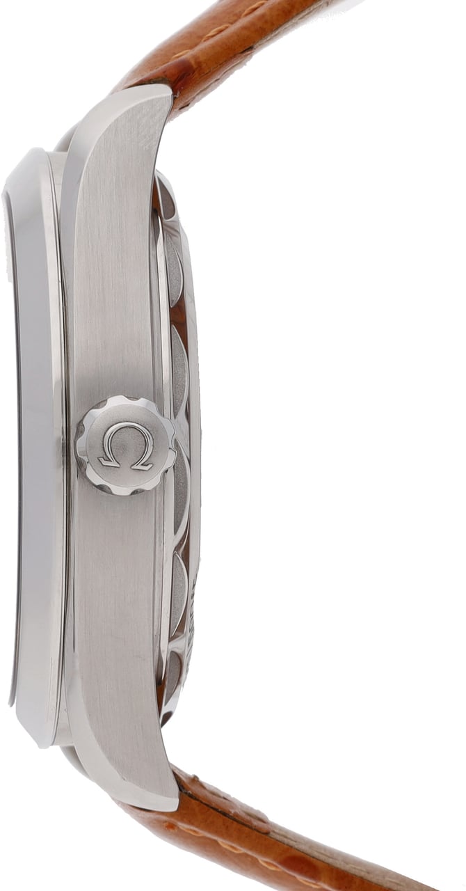 Omega Seamaster Zilver