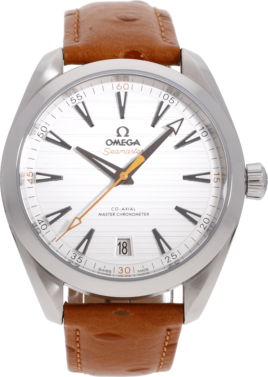 Omega Seamaster Zilver
