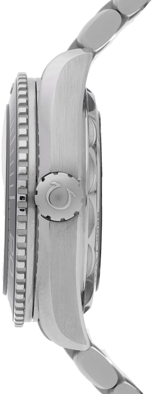 Omega Seamaster Zwart