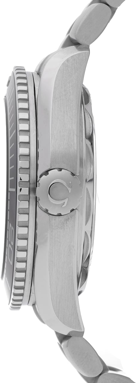 Omega Seamaster Zwart