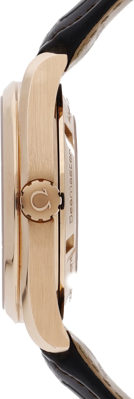 Omega Seamaster Bruin