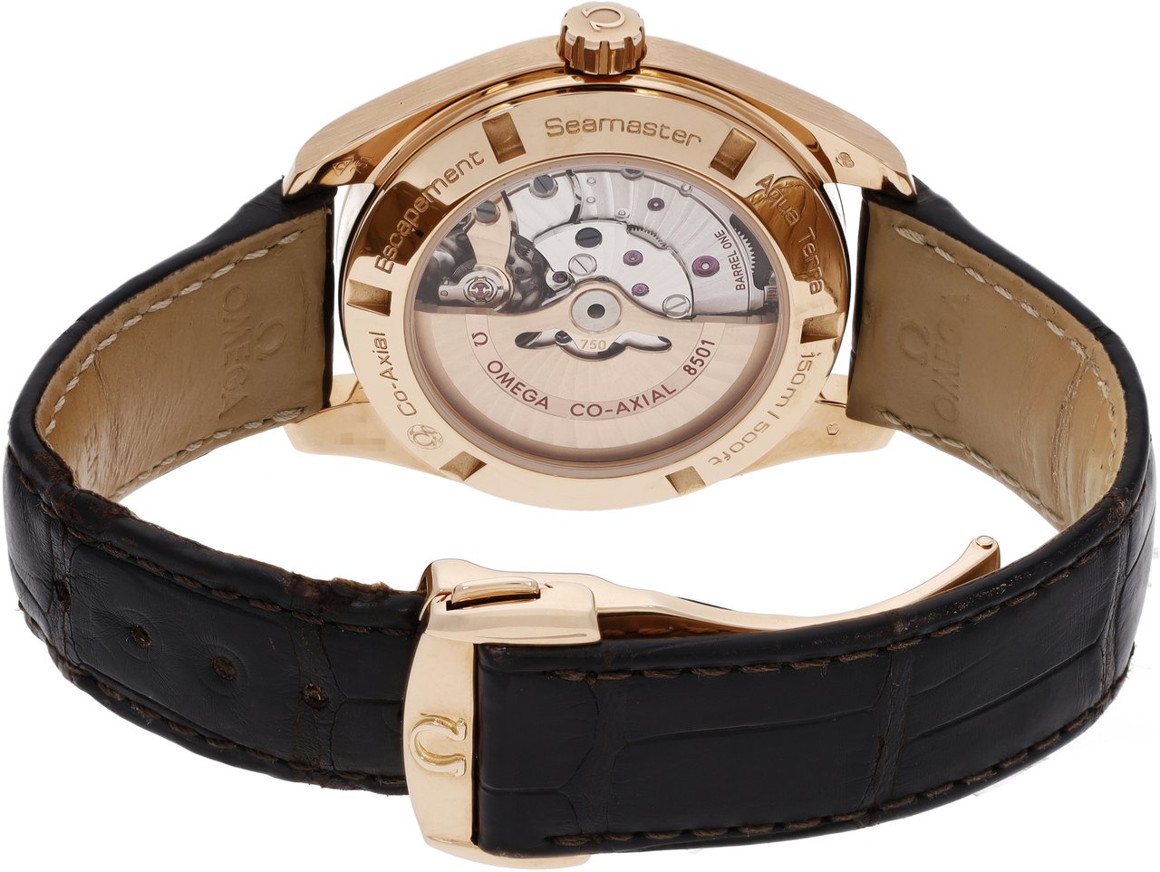 Omega Seamaster Bruin