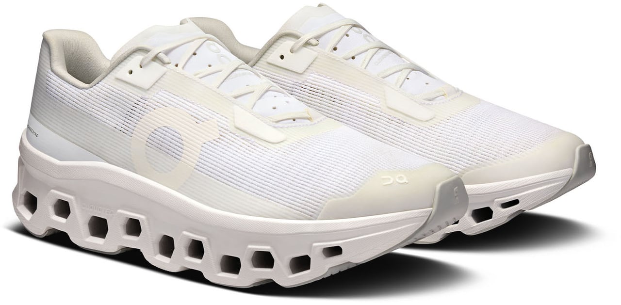 On Running Sneakers White Wit