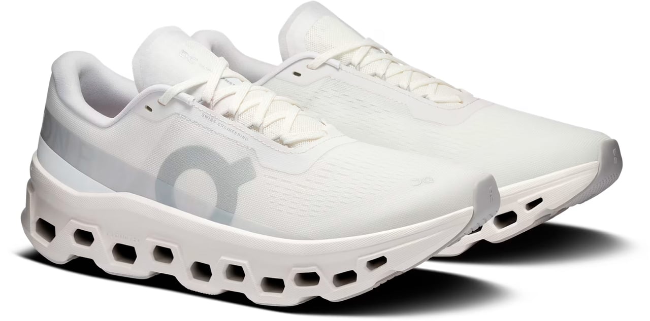 On Running Sneakers White Wit