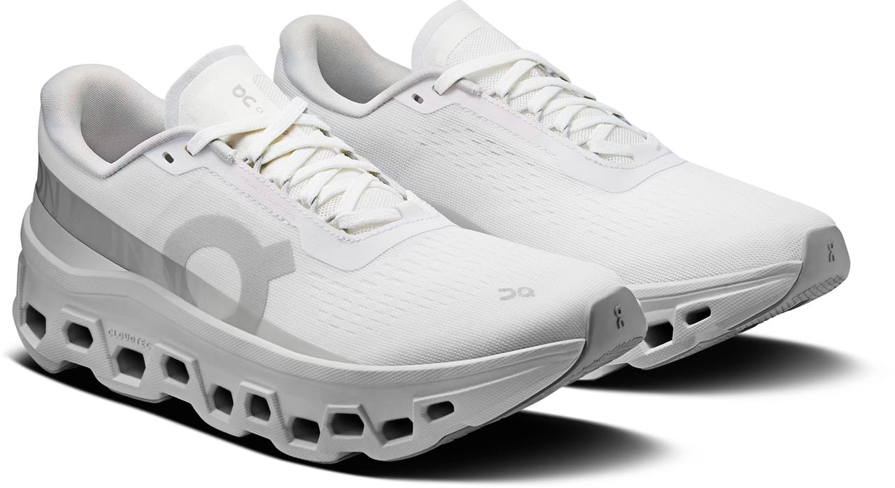 On Running Sneakers White Wit