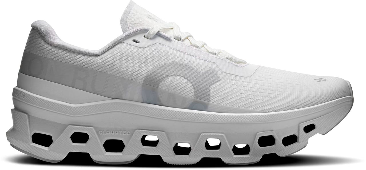 On Running Sneakers White Wit