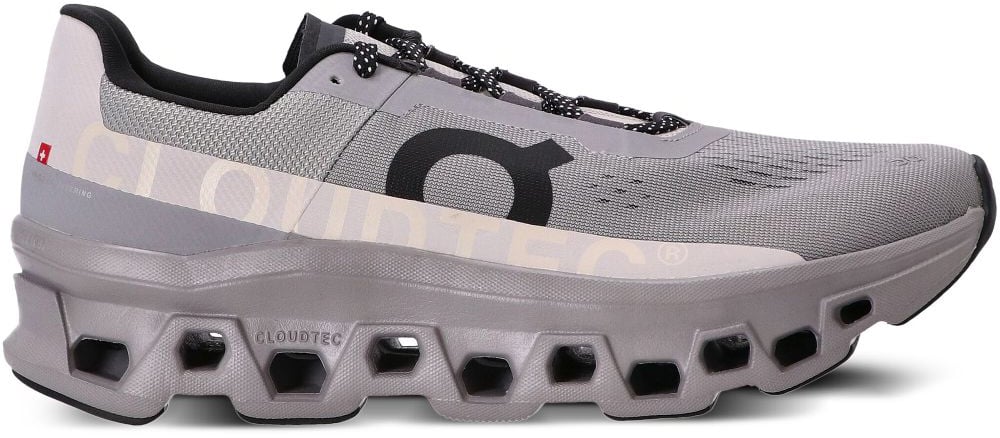 On Running Sneakers Silver Zilver