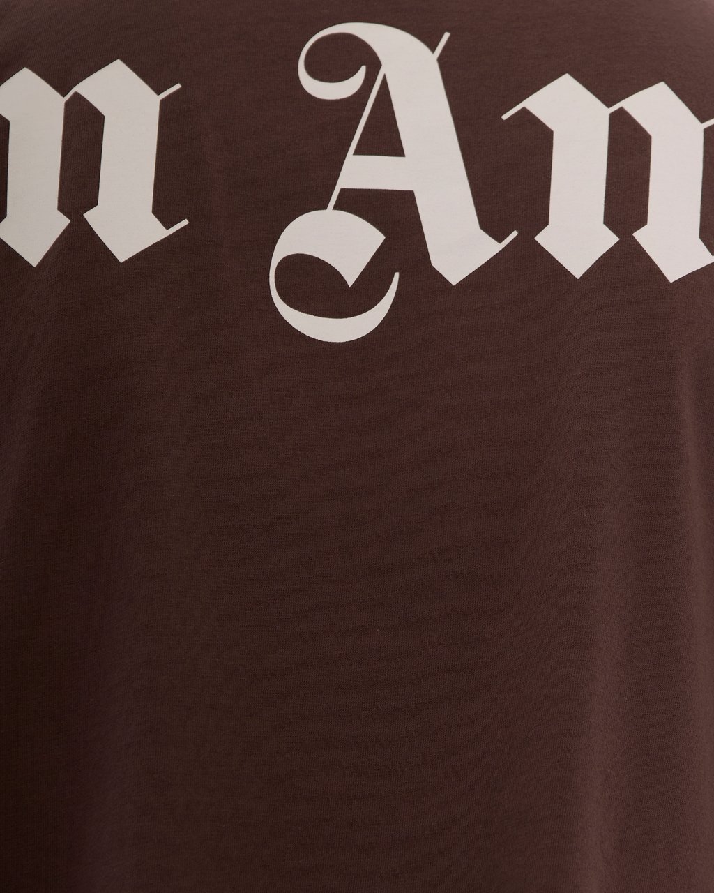Palm Angels T-Shirts And Polos Brown Off White Bruin