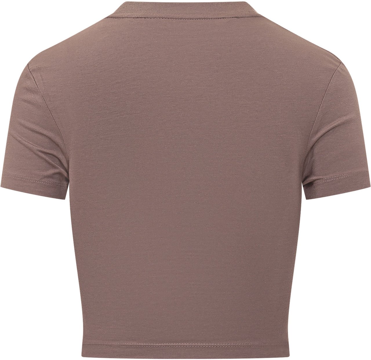 Palm Angels T-shirt Palm Sway Fitted Taupe