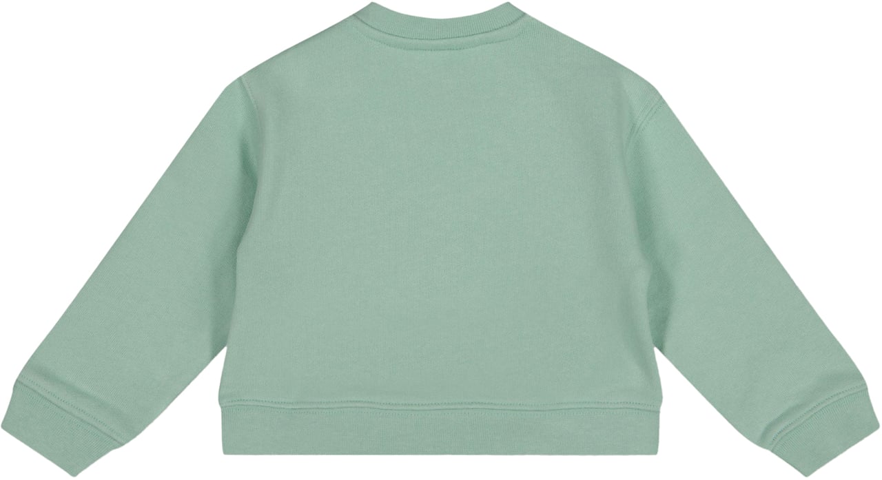 Palm Angels Baby Jongens Trui In Licht Groen Groen