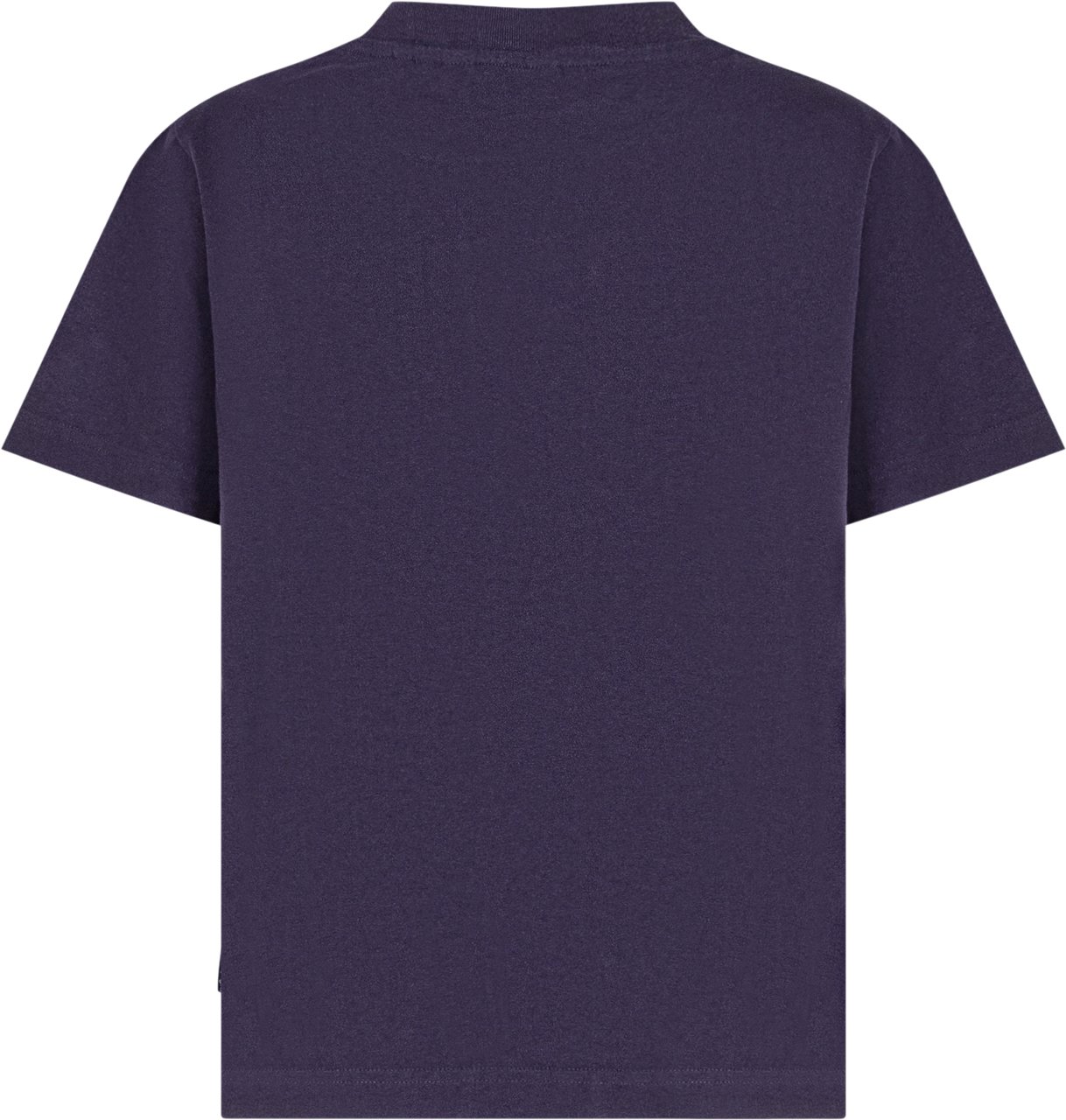 Palm Angels Palm Angels T-Shirt Logo Collo Viola Blauw