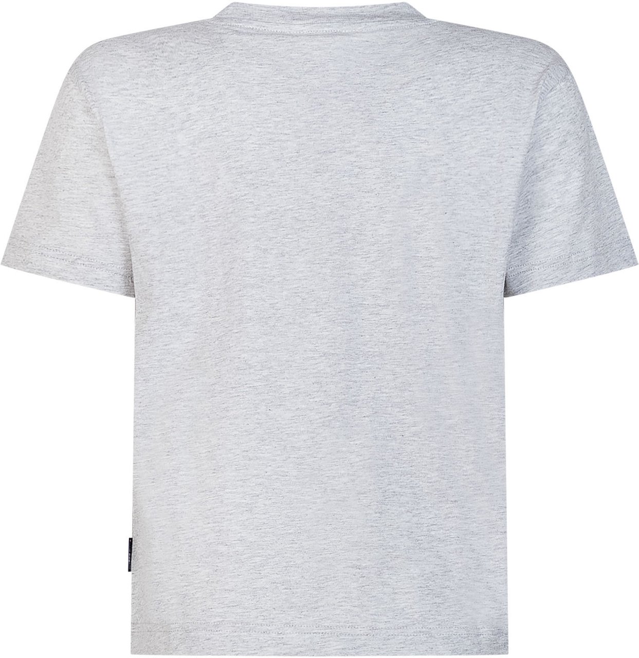 Palm Angels T-shirt con Stampa Spray Bear Lichtgrijs