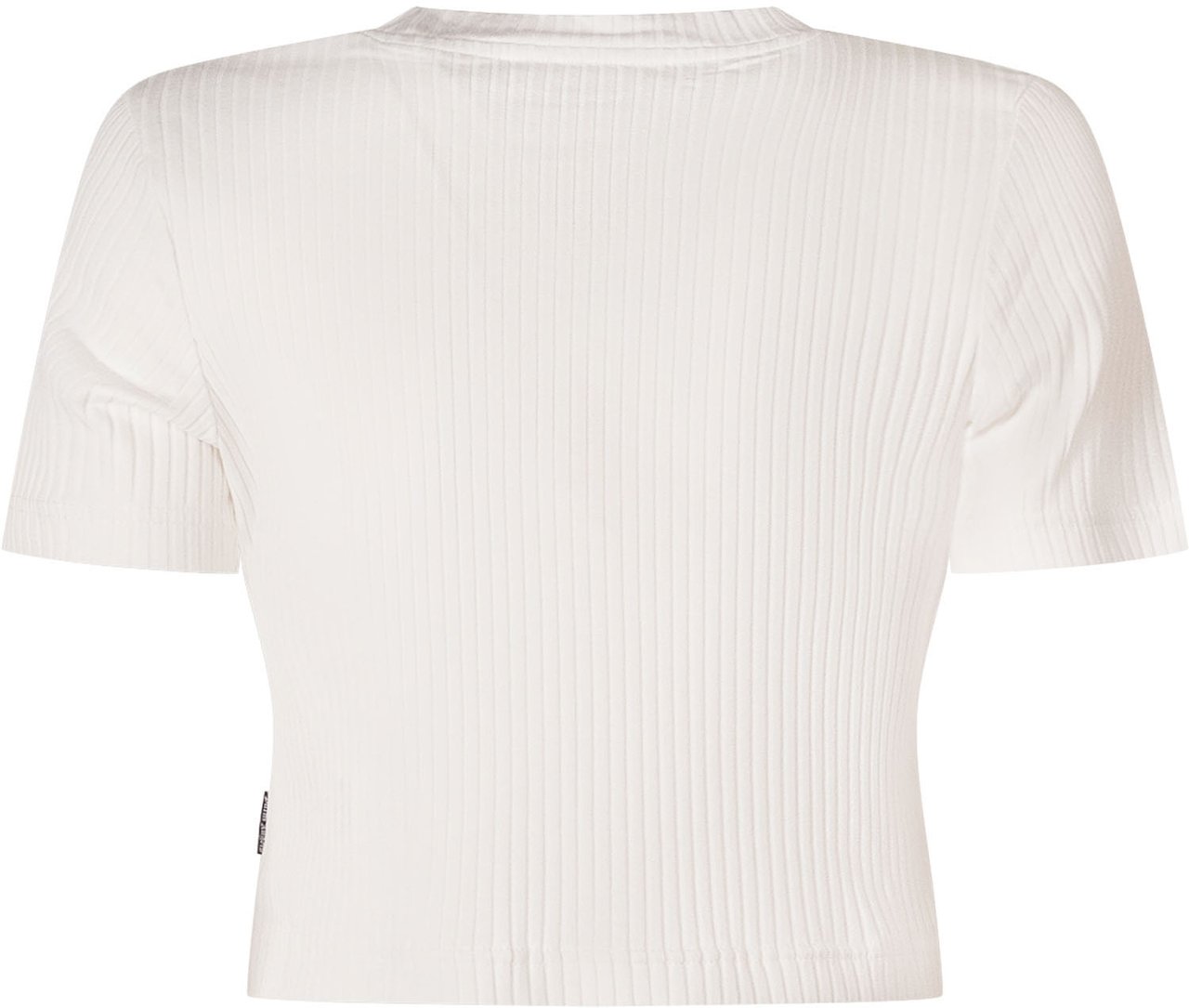 Palm Angels T-shirt Corta a Coste con Logo Wit