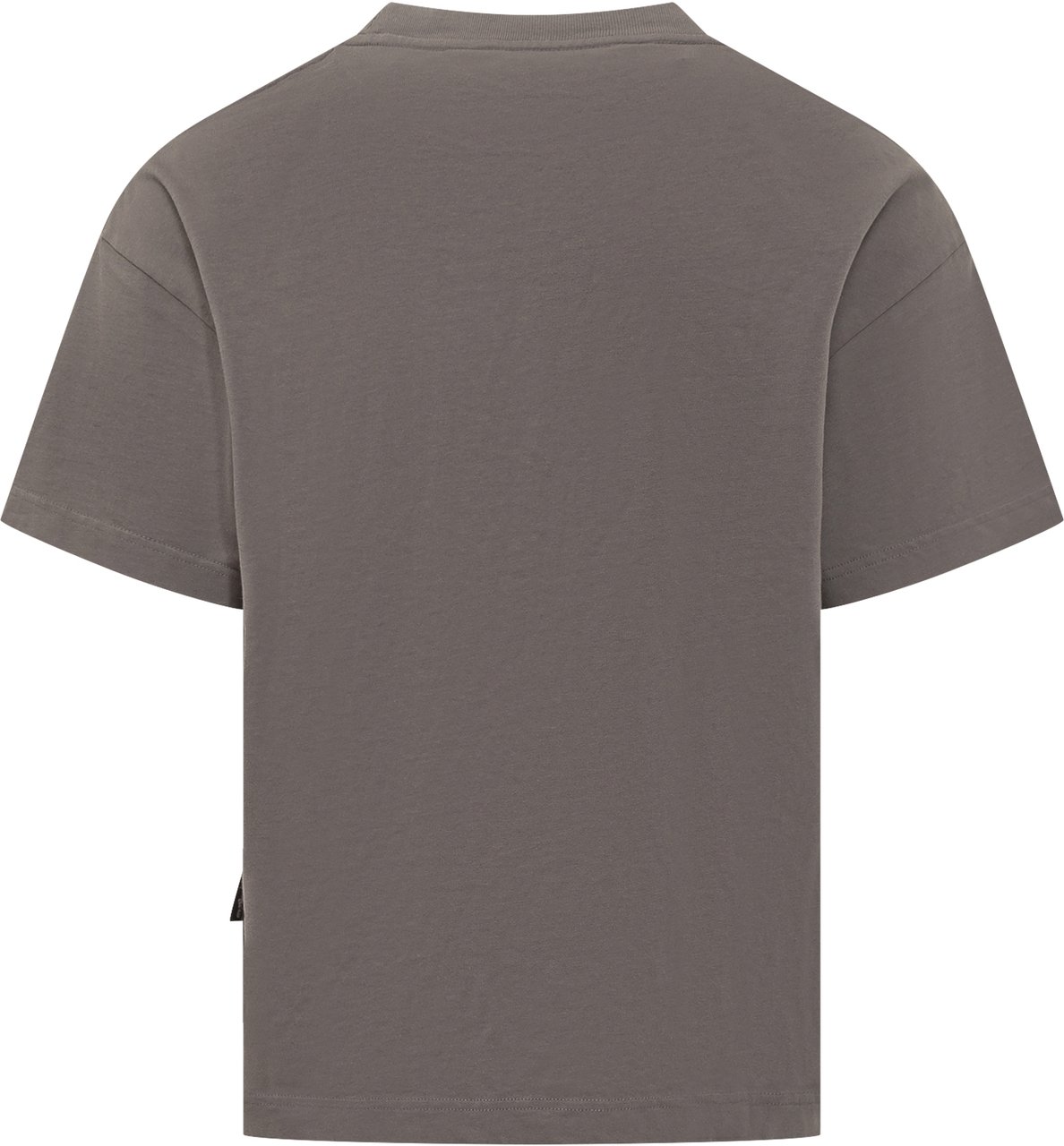 Palm Angels Palm Angels T-Shirt Bear In Mind Grijs