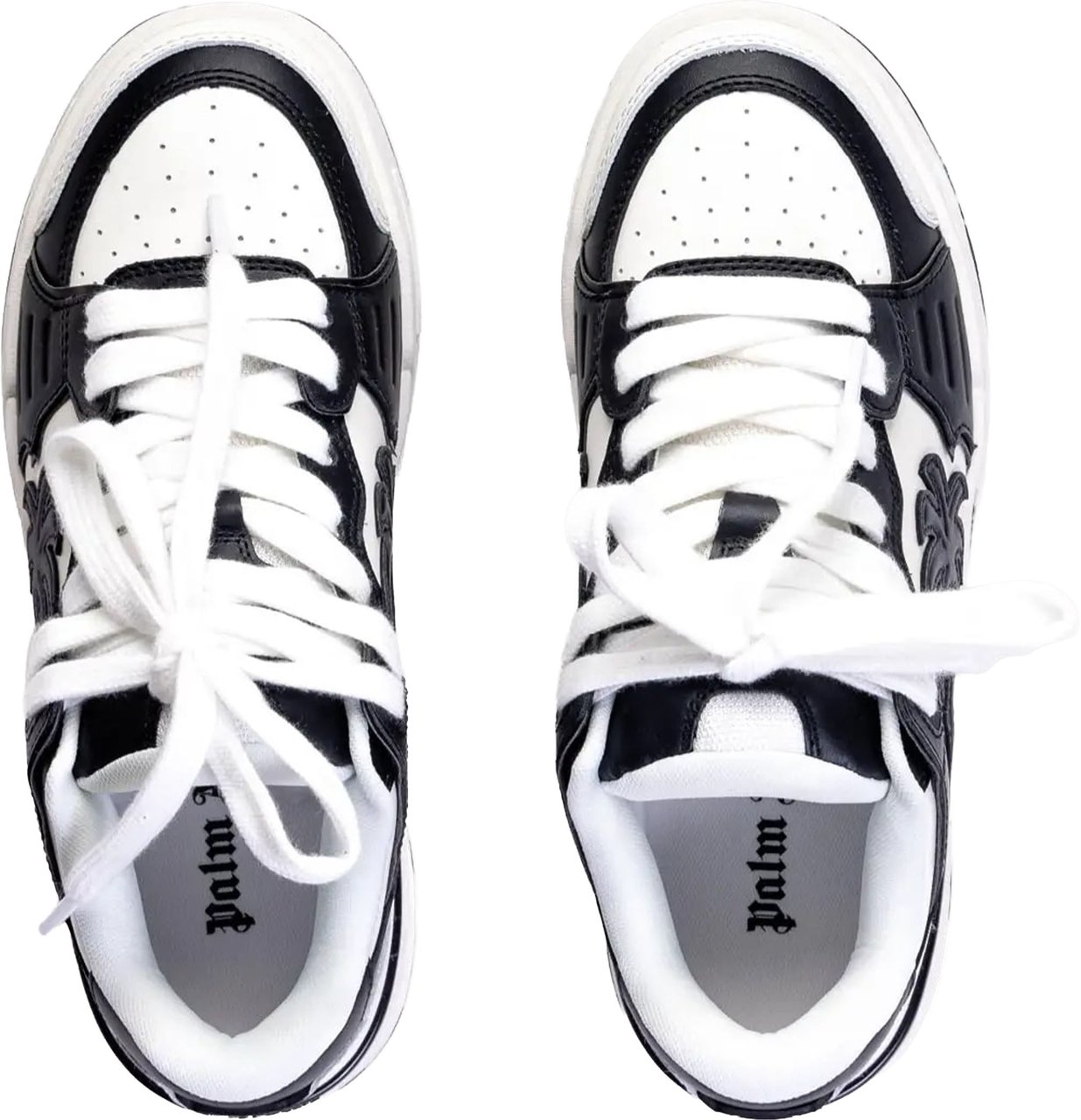 Palm Angels White Venice Sneakers Palm Tree Sneakers Wit