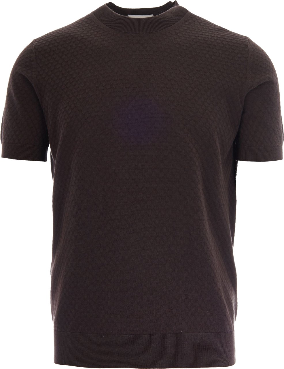 Paolo Pecora T-Shirts And Polos Brown Bruin