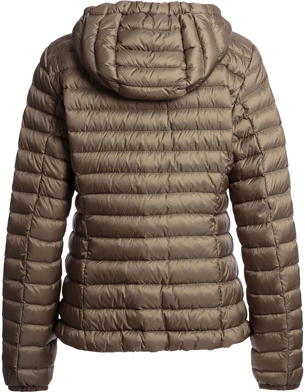 Parajumpers Dames Genie Down Jacker Bruin