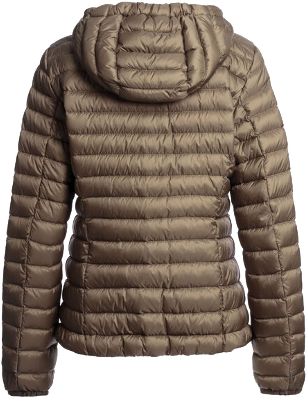 Parajumpers Parajumpers Genie Jackets Bruin Pwpusl33 Bruin