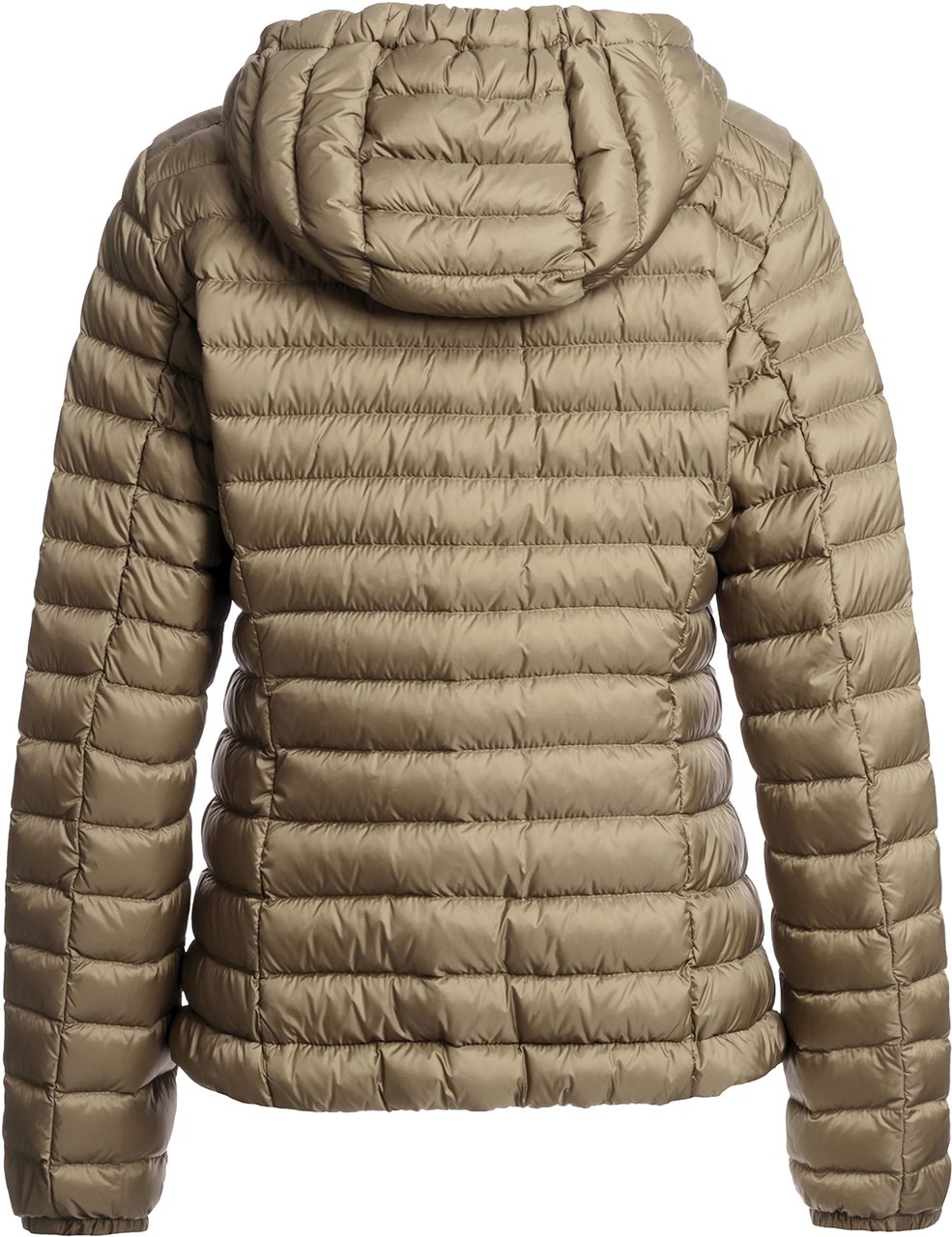 Parajumpers Genie Zomerjas Groen