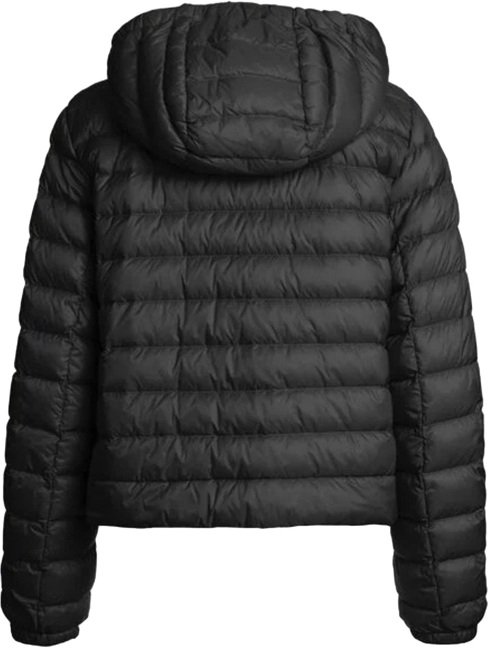 Parajumpers Parajumpers Rory Gewatteerde Jassen Zwart Pwpusl31 Zwart