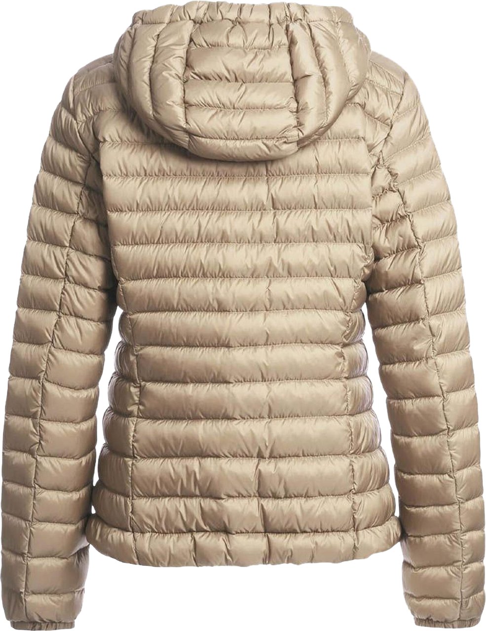 Parajumpers Dames Genie Down Jacker jas Beige
