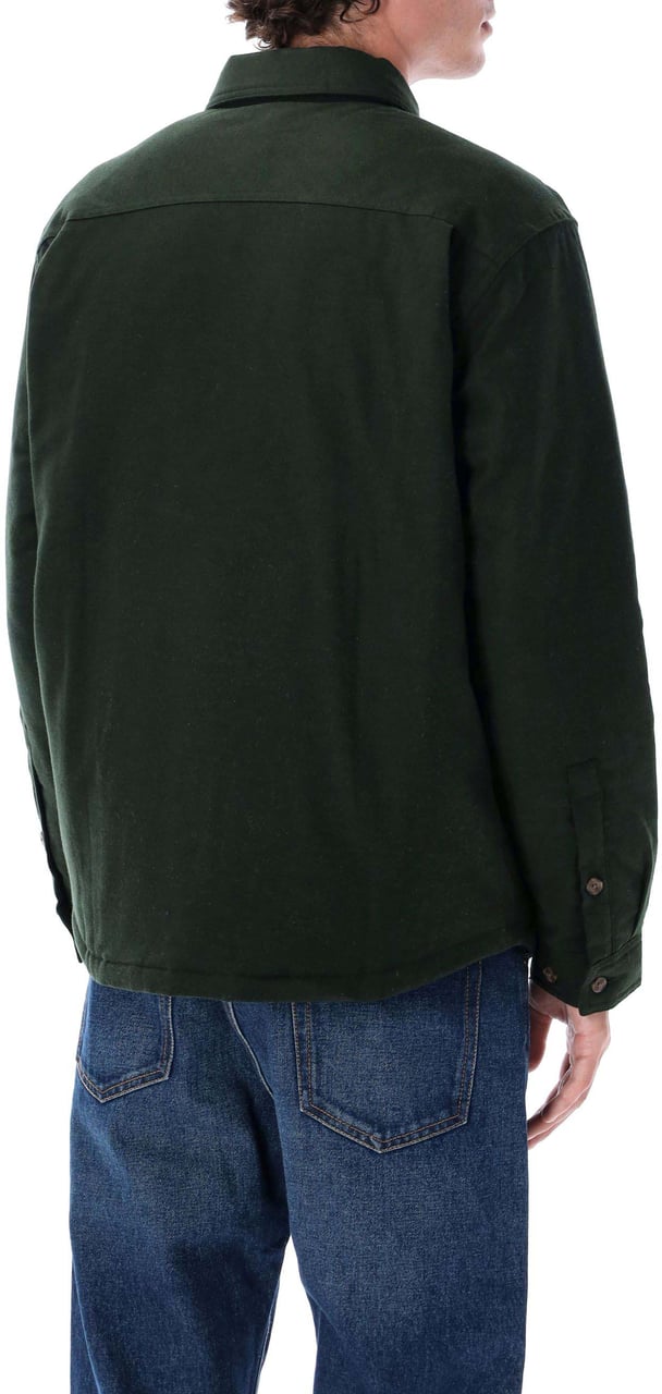 Patagonia Fjord Flanel Shirt Old Growth Green Groen