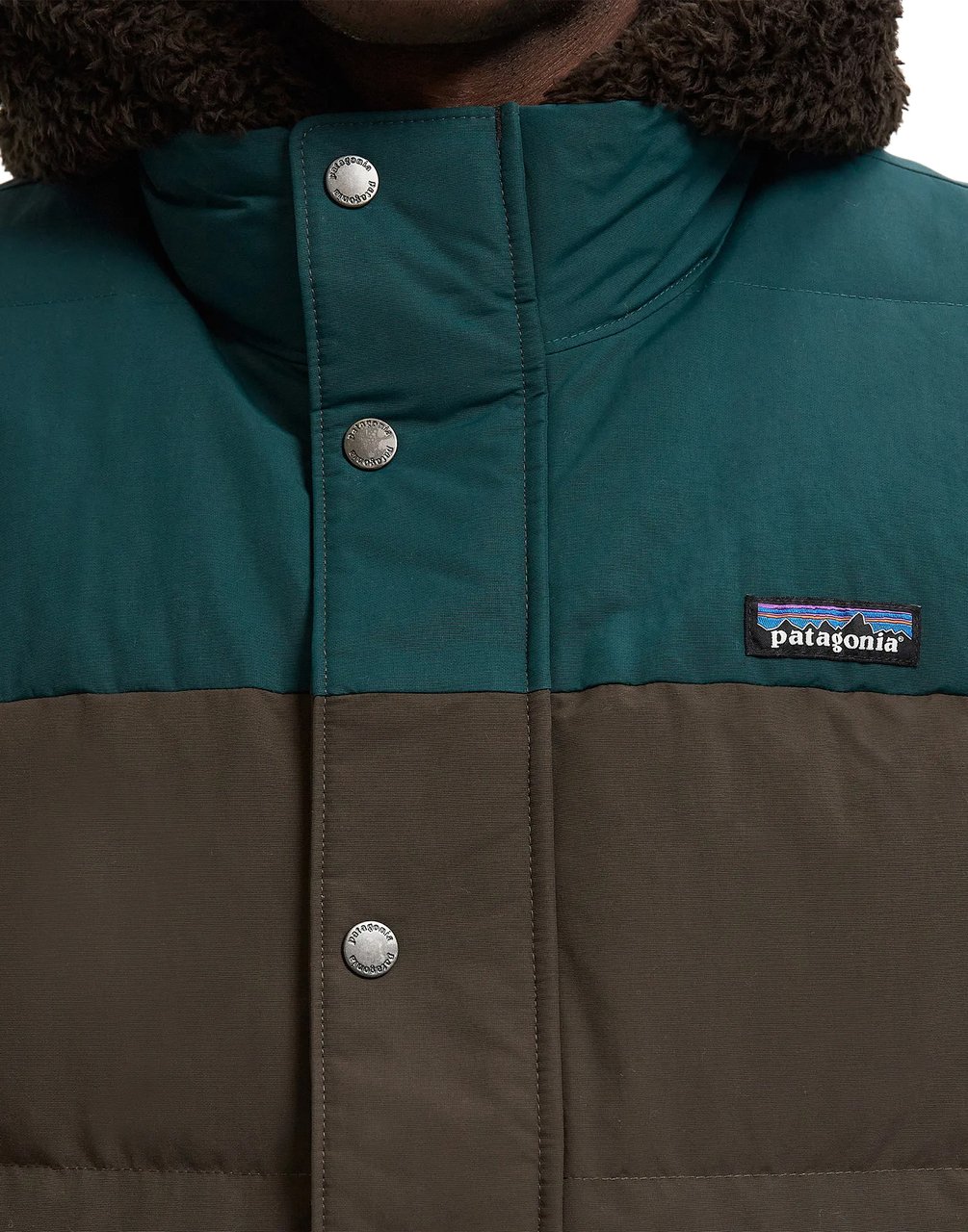 Patagonia Downdrift Logo Vest Divers