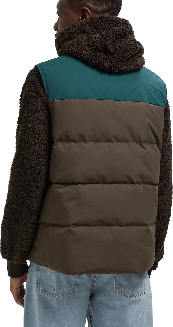Patagonia Downdrift Logo Vest Divers