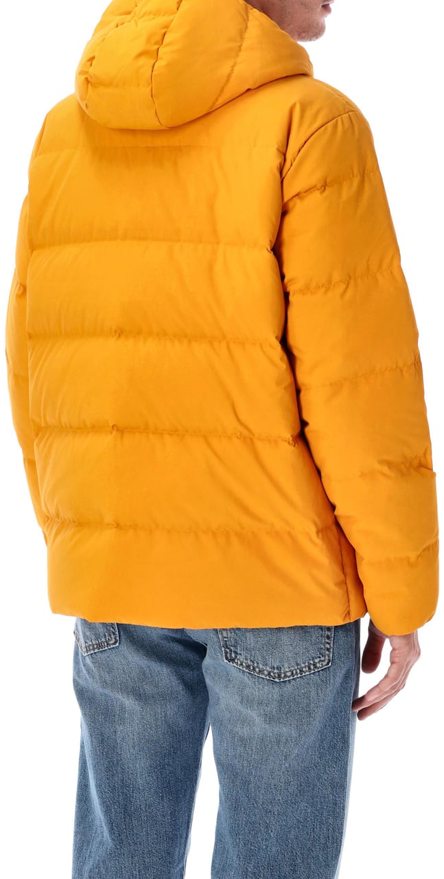 Patagonia Sisar Down Hoodie Jkt Arancio Oranje