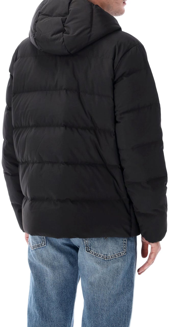 Patagonia Sisar Down Hoodie Jkt Nero Zwart
