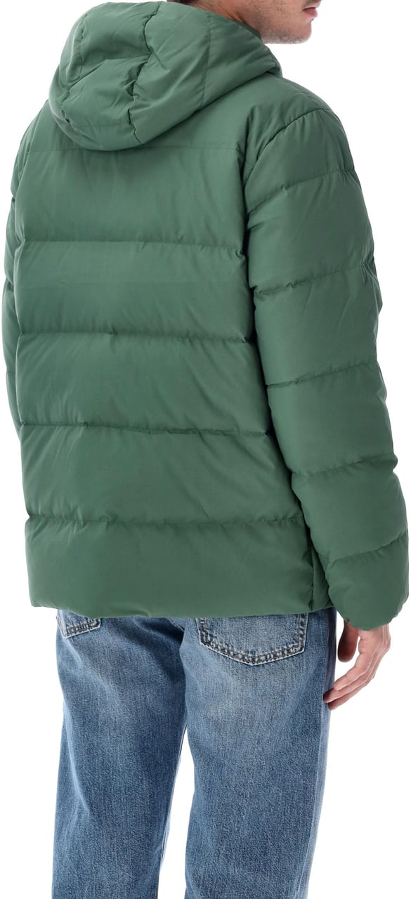 Patagonia Sisar Down Hoodie Jkt Verde Groen