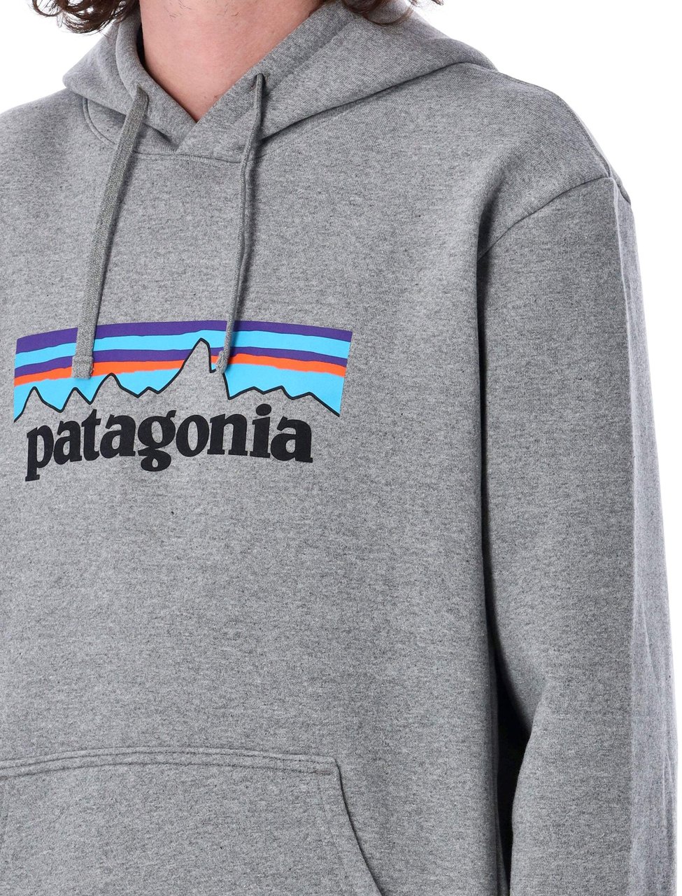 Patagonia P-6 Logo Hoodie Grigio Grijs
