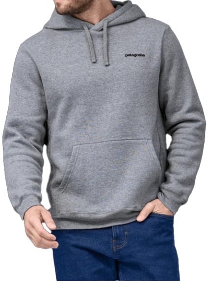 Patagonia Fitz Roy Icon Grijs