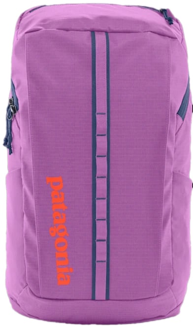 Patagonia Black Hole Pack 25L Paars