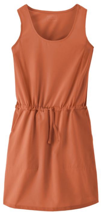 Patagonia Fleetwith Jurk Dames Bruin