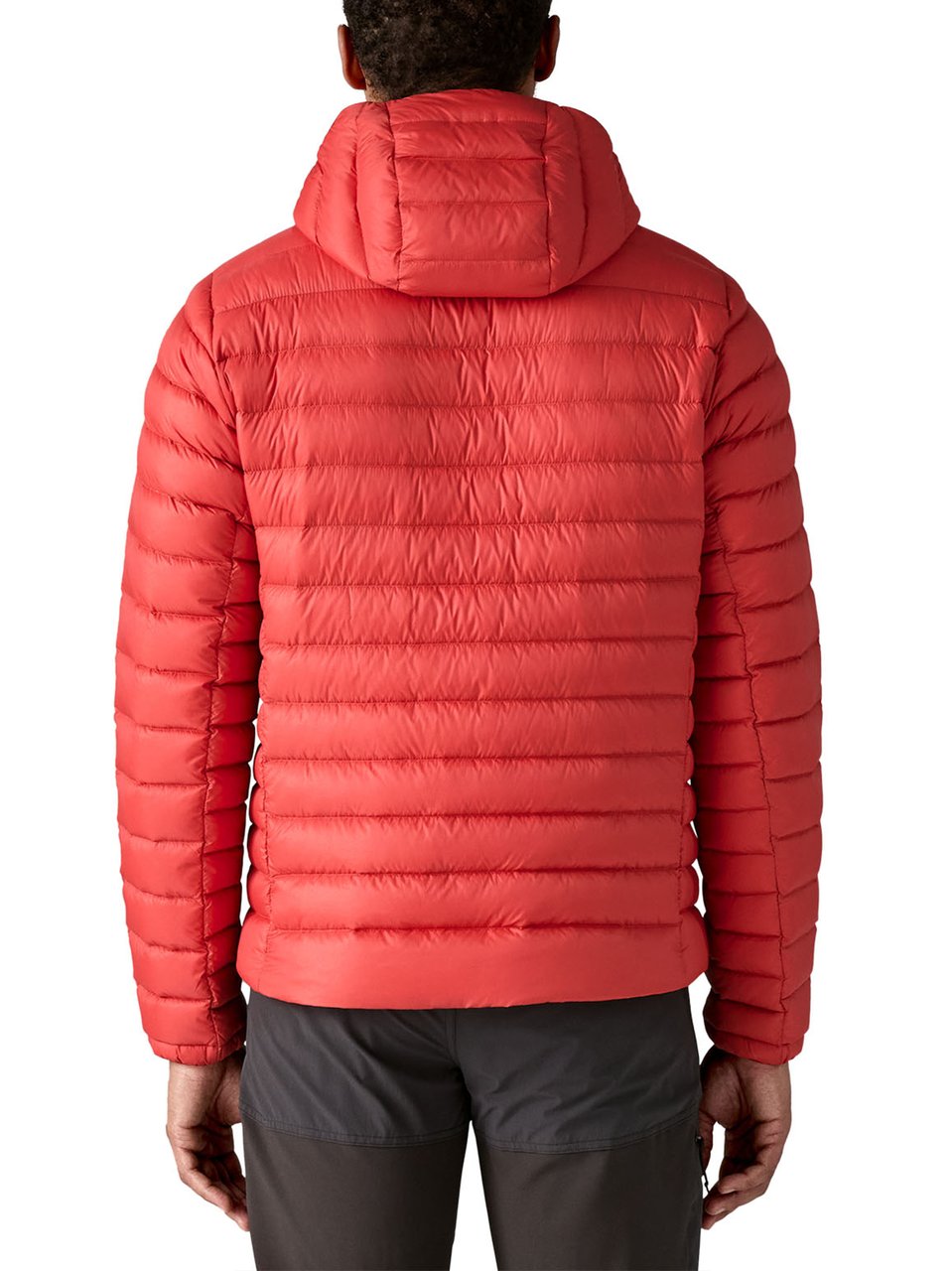 Patagonia Red Down Hoodie Hoody Down Hoodie Rood