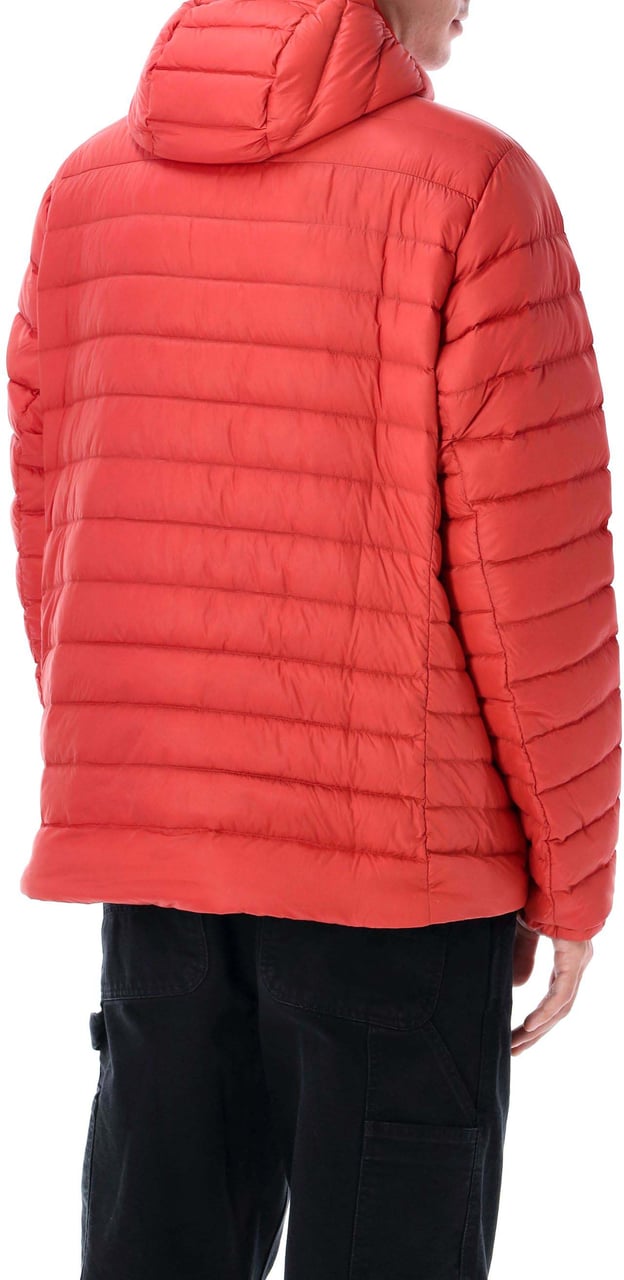 Patagonia Downsweater Hoodie Amanita Red Rood