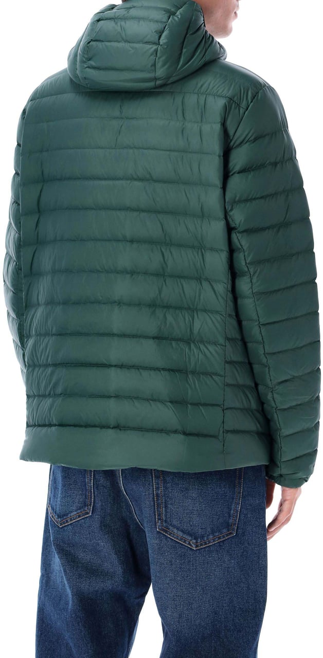 Patagonia Downsweater Hoodie Cascade Green Groen