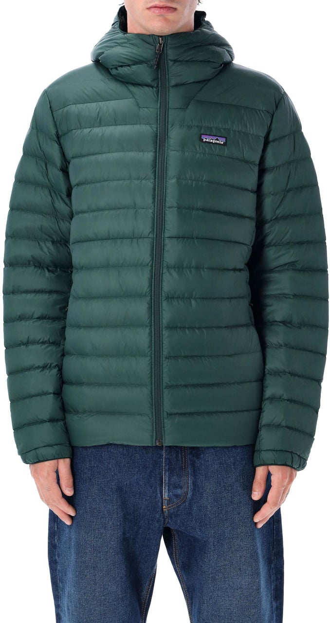 Patagonia Downsweater Hoodie Cascade Green Groen