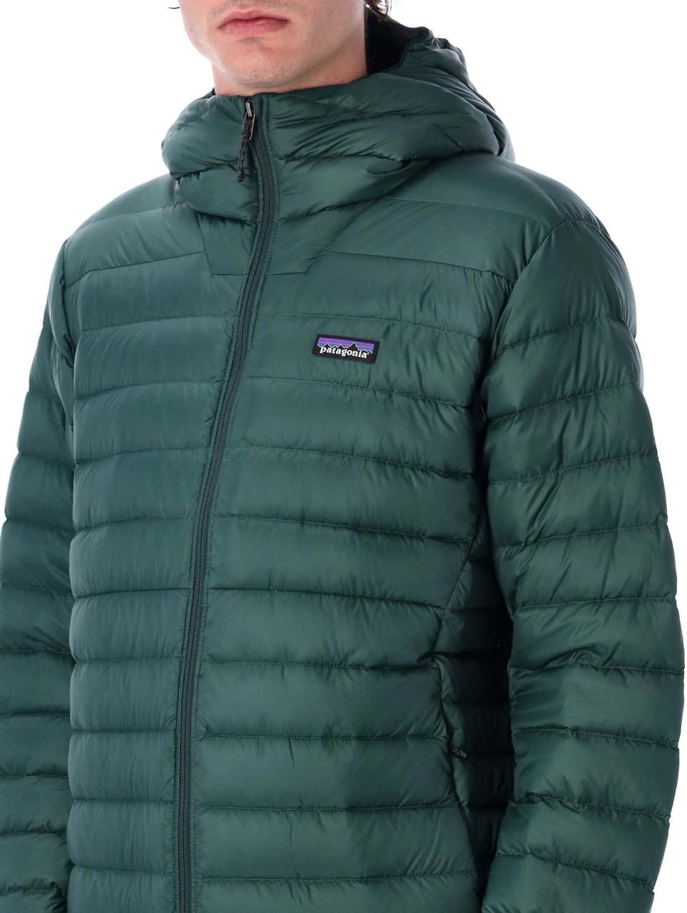 Patagonia Downsweater Hoodie Cascade Green Groen