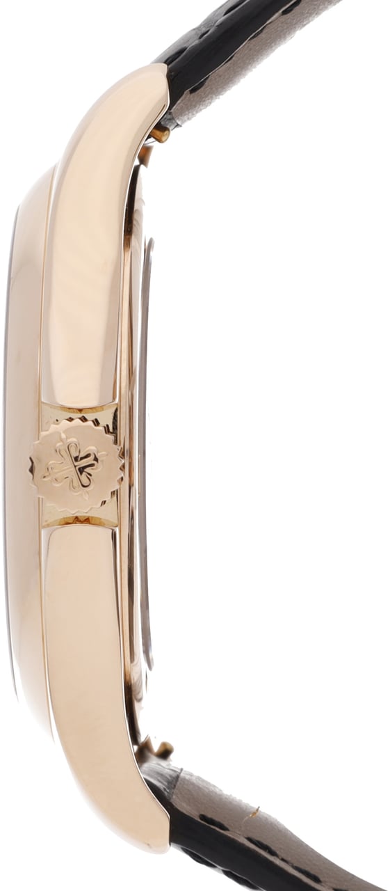 Patek Philippe Complications Wit